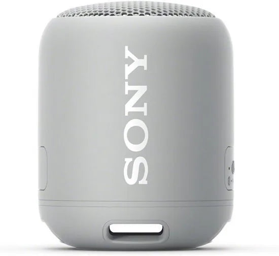 Compact Bluetooth speaker with strap