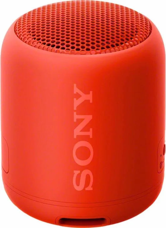 Compact Bluetooth speaker with strap