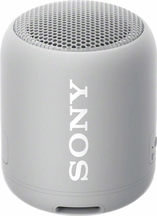 Compact Bluetooth speaker with strap
