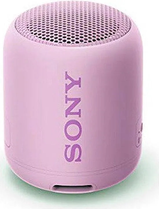 Compact Bluetooth speaker with strap