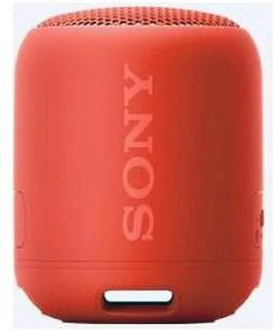 Compact Bluetooth speaker with strap