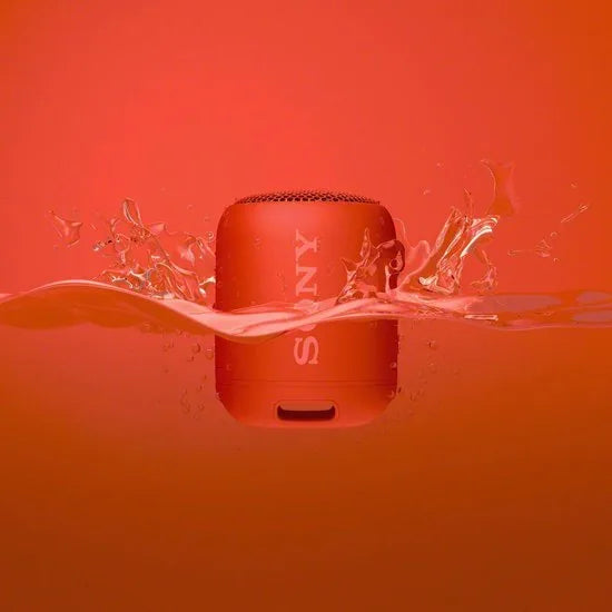 Compact Bluetooth speaker with strap