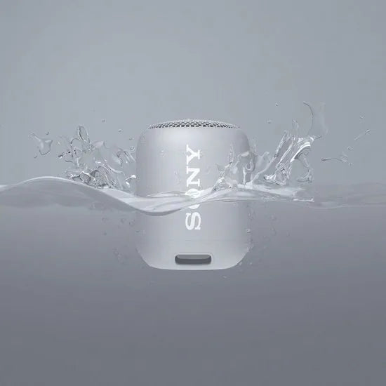 Compact Bluetooth speaker with strap