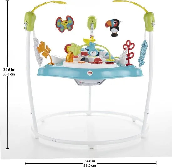 Fisher Price - Kleurenklimmer Jumperoo - Loopstoel