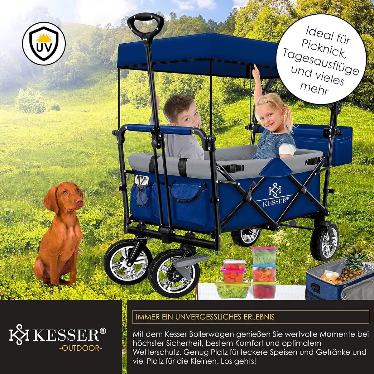 FurnStar - Opvouwbare Handkar Met Dak Handkar - Transportwagen - incl. 2X 3 puntsgordelsysteem - Opvouwbaar - Massief Rubberen Banden - Tot 80kg - Voor en Achterrem - Draagtas, Kaki – Blauw/grijs